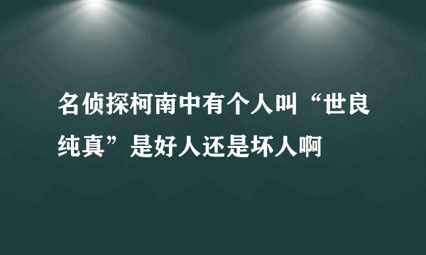 名侦探柯南中有个人叫“世良纯真”是好人还是坏人啊