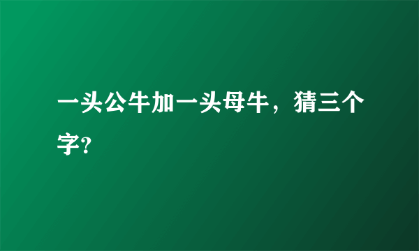 一头公牛加一头母牛，猜三个字？