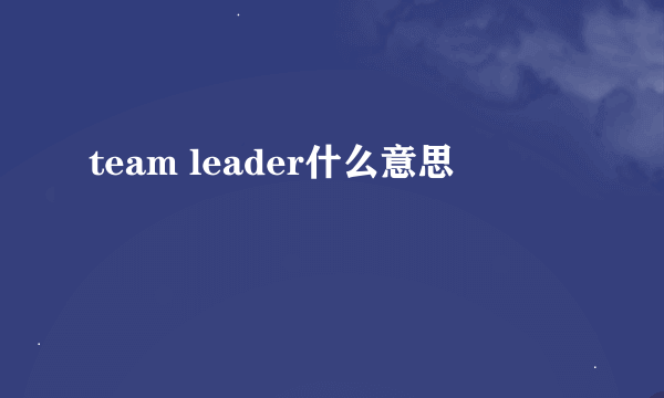 team leader什么意思