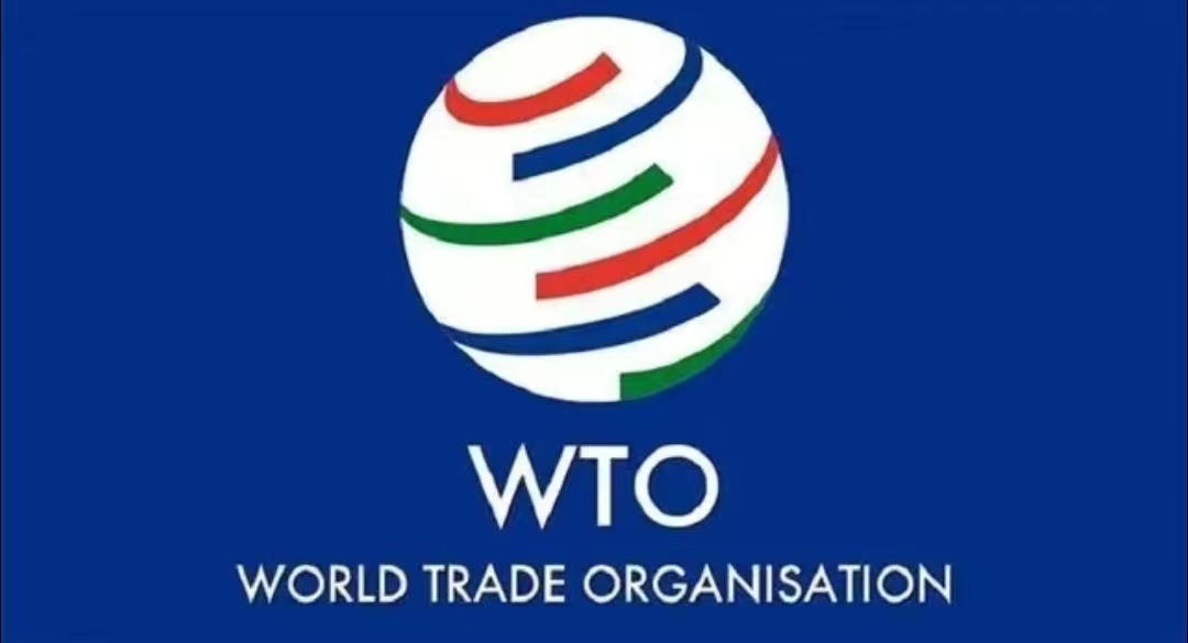 中国在哪一年加入wto