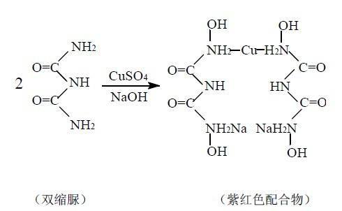 双缩脲反应的方程式!!