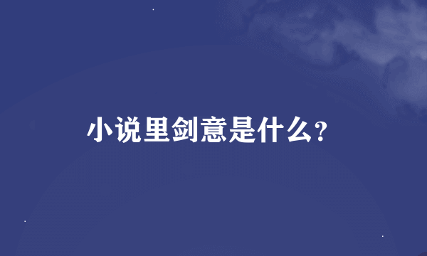 小说里剑意是什么？