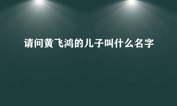 请问黄飞鸿的儿子叫什么名字