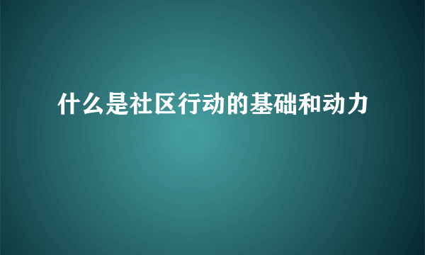 什么是社区行动的基础和动力