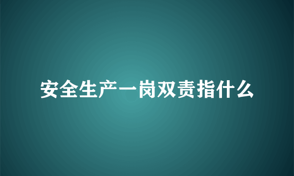 安全生产一岗双责指什么