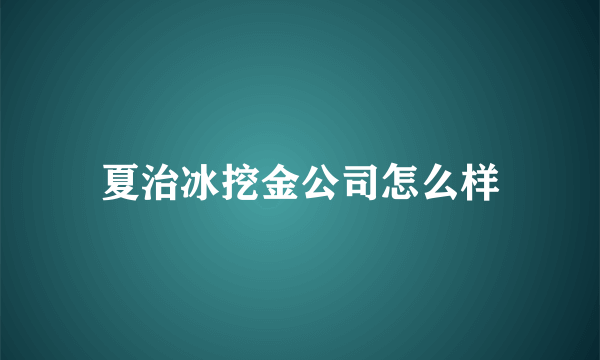 夏治冰挖金公司怎么样