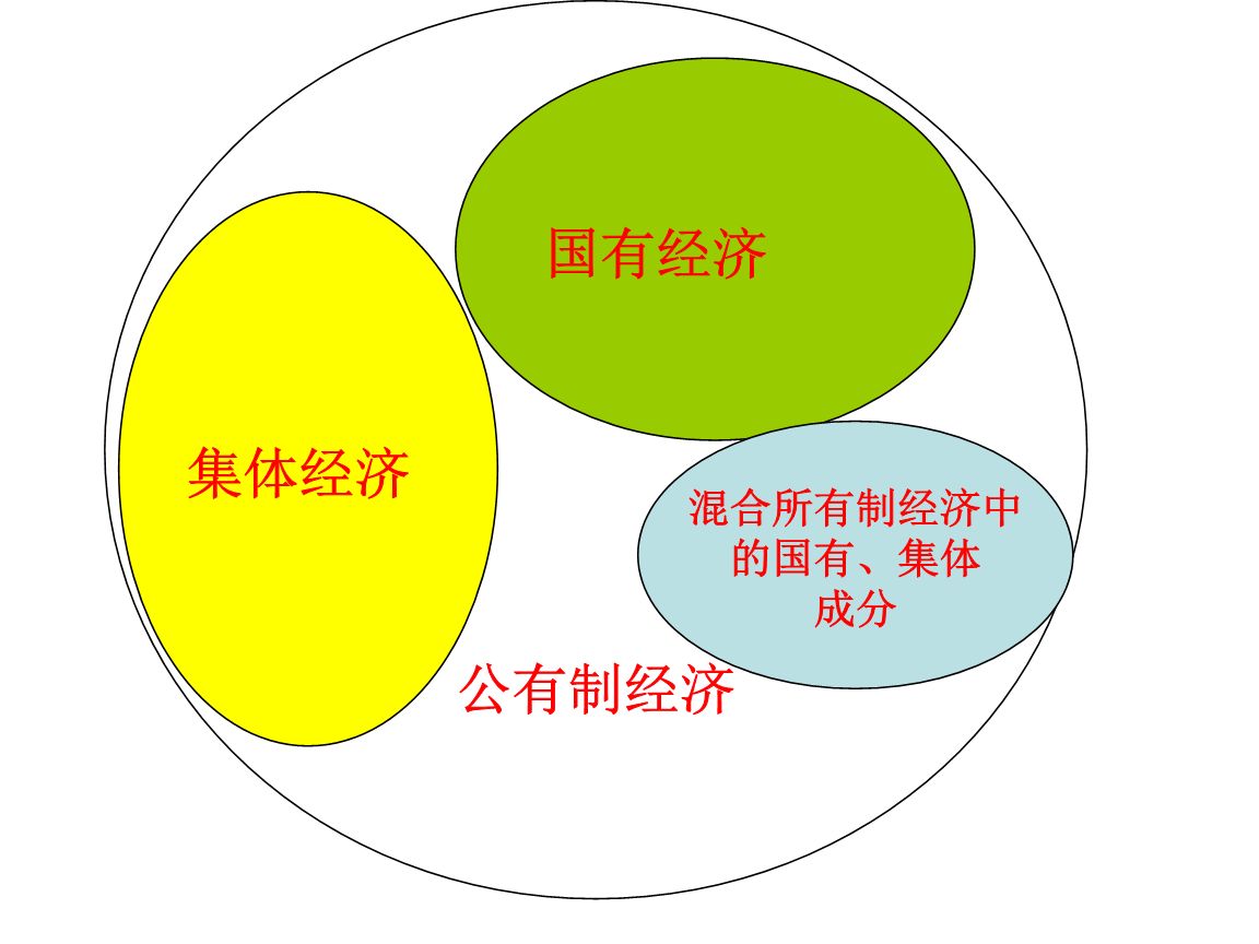 我国社会主义初级阶段的基本经济制度是什么？