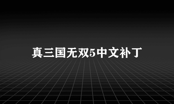 真三国无双5中文补丁