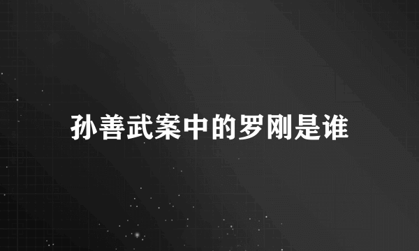 孙善武案中的罗刚是谁