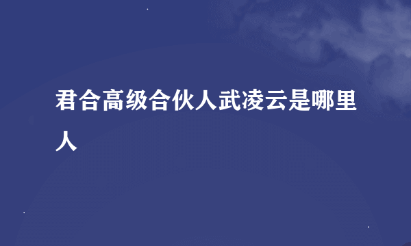 君合高级合伙人武凌云是哪里人