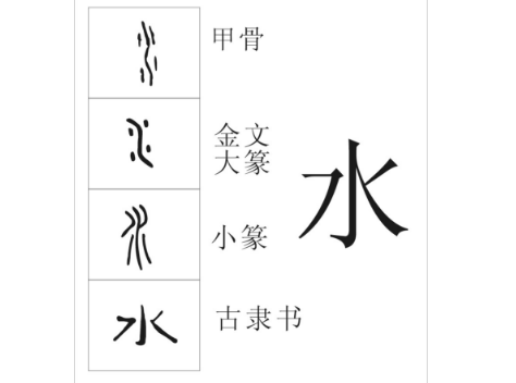 水字旁有那些字