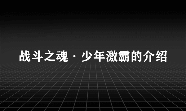 战斗之魂·少年激霸的介绍