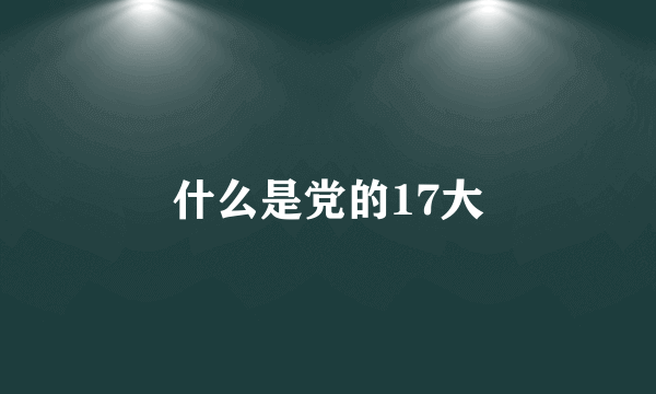 什么是党的17大