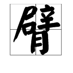 手臂的“臂”用多音字组词。