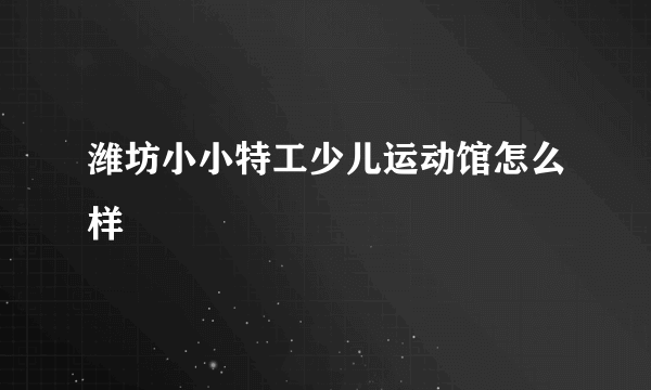 潍坊小小特工少儿运动馆怎么样