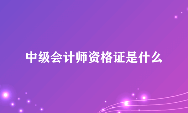 中级会计师资格证是什么