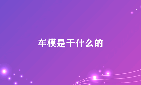 车模是干什么的