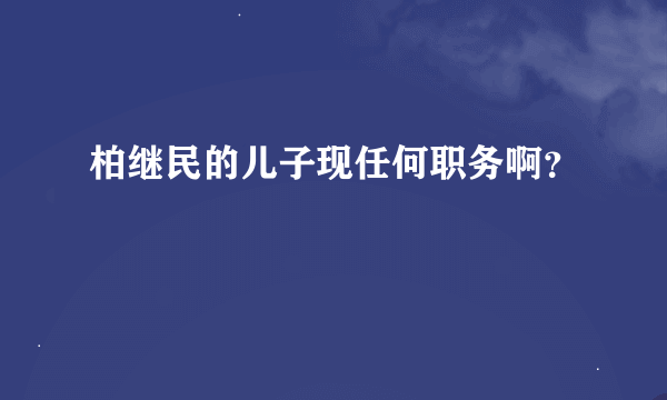 柏继民的儿子现任何职务啊？