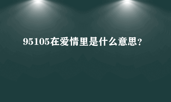 95105在爱情里是什么意思？