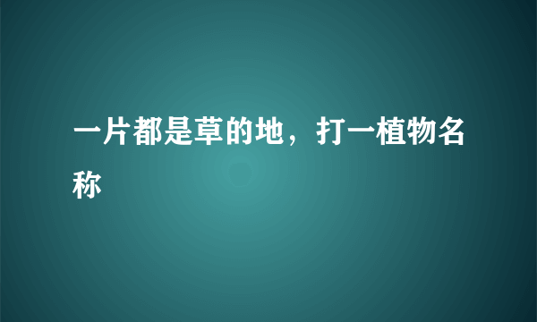 一片都是草的地，打一植物名称