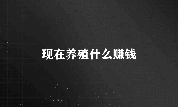 现在养殖什么赚钱