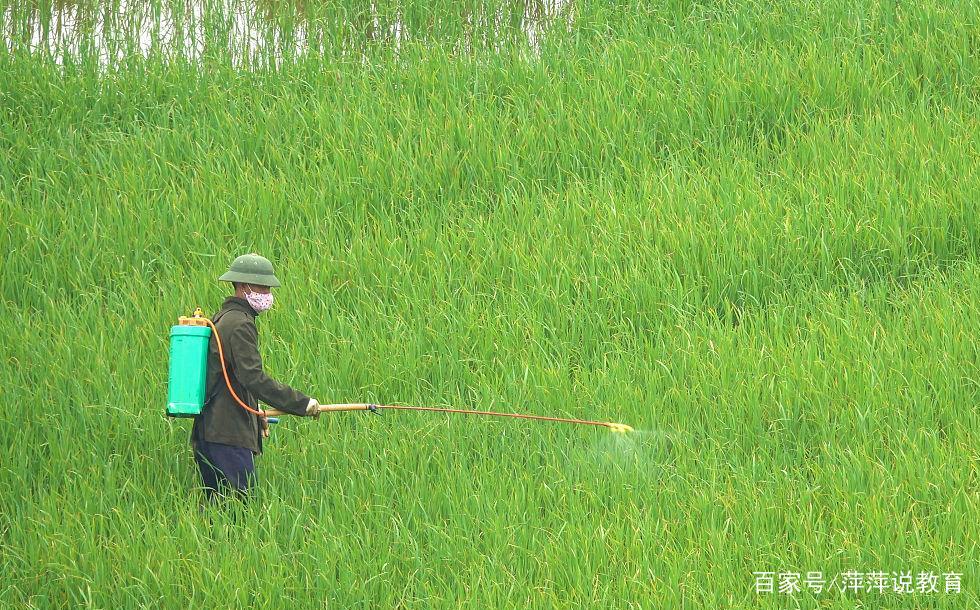 乙草胺是常用的农药，乙草胺使用范围是什么？