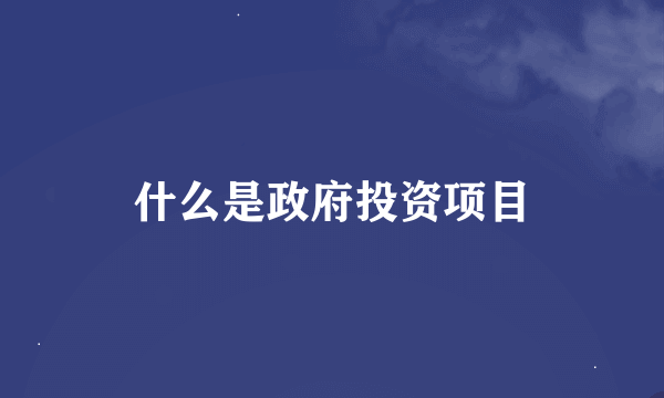 什么是政府投资项目