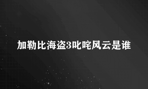 加勒比海盗3叱咤风云是谁