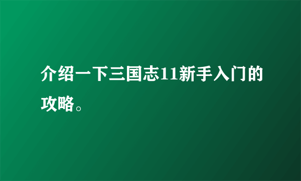 介绍一下三国志11新手入门的攻略。