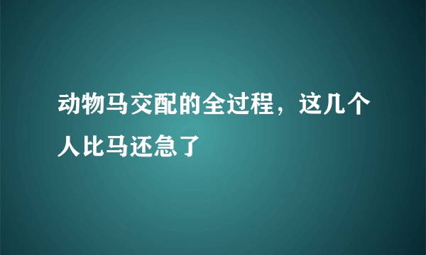 动物马交配的全过程，这几个人比马还急了