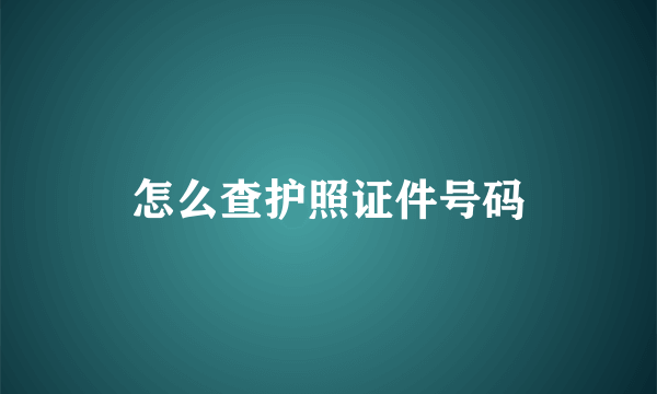 怎么查护照证件号码