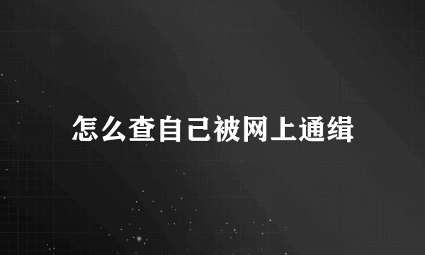 怎么查自己被网上通缉