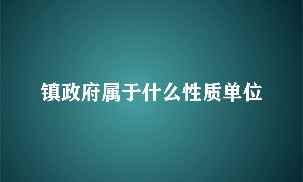 镇政府属于什么性质单位