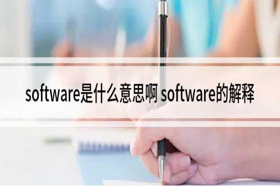 software是什么意思