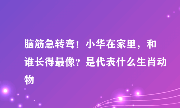 脑筋急转弯！小华在家里，和谁长得最像？是代表什么生肖动物