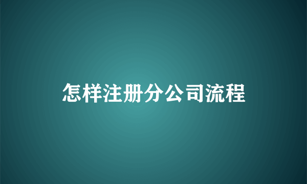 怎样注册分公司流程