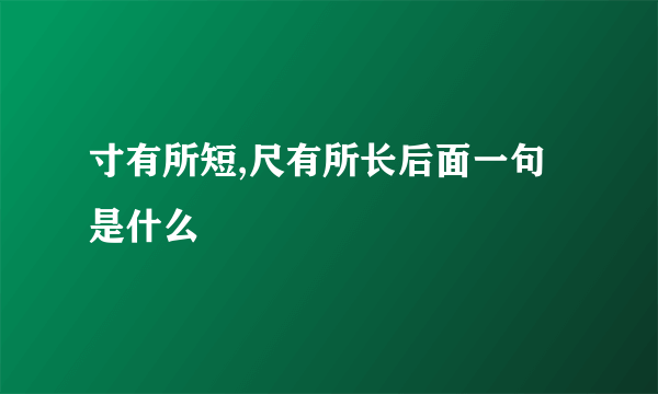 寸有所短,尺有所长后面一句是什么