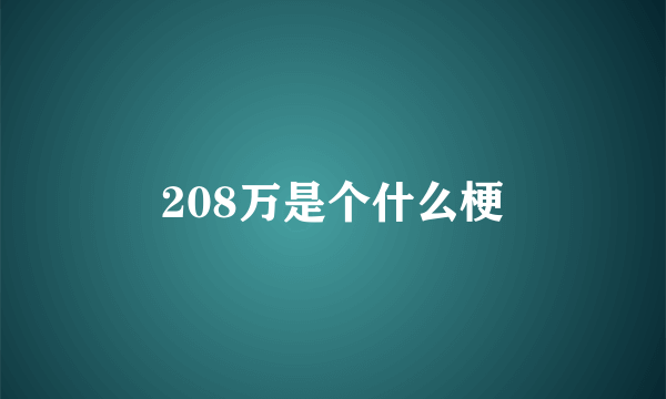 208万是个什么梗