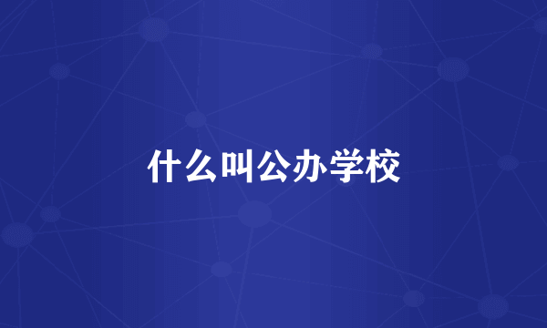 什么叫公办学校