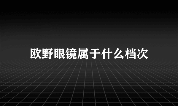 欧野眼镜属于什么档次