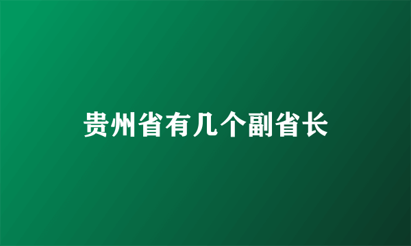 贵州省有几个副省长