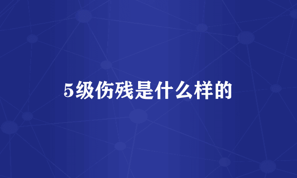 5级伤残是什么样的