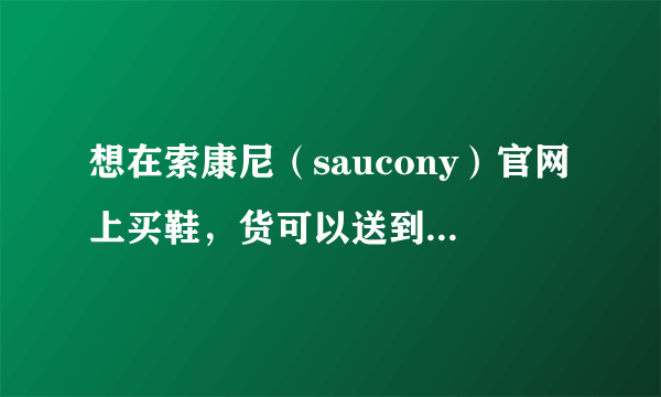 想在索康尼（saucony）官网上买鞋，货可以送到中国吗？本人在福建，支不支持货到付款并支付人民币？