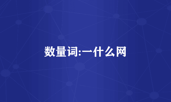 数量词:一什么网