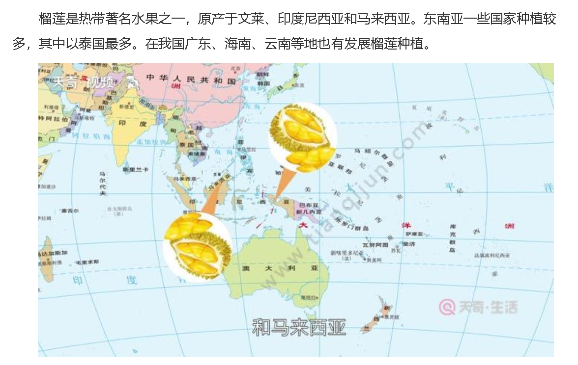 榴莲的产地有哪些地方？