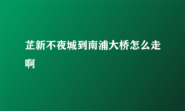 芷新不夜城到南浦大桥怎么走啊