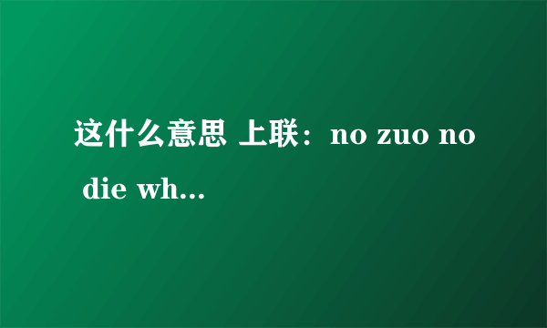 这什么意思 上联：no zuo no die why you try 下联：no try no