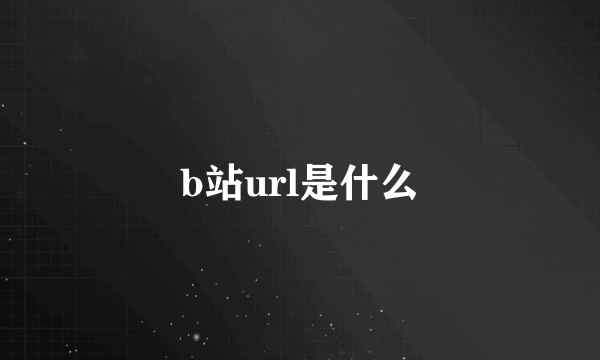 b站url是什么