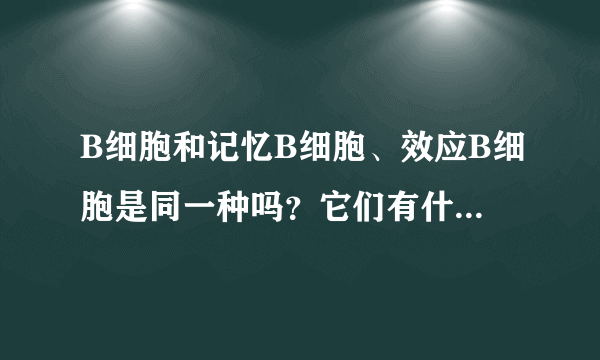 B细胞和记忆B细胞、效应B细胞是同一种吗？它们有什么区别吗？