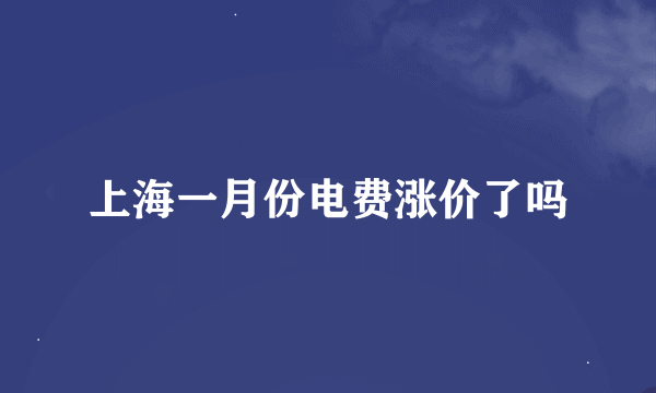 上海一月份电费涨价了吗